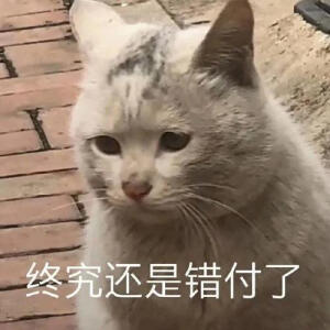 萌宠表情包