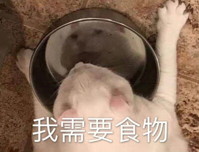 表情包