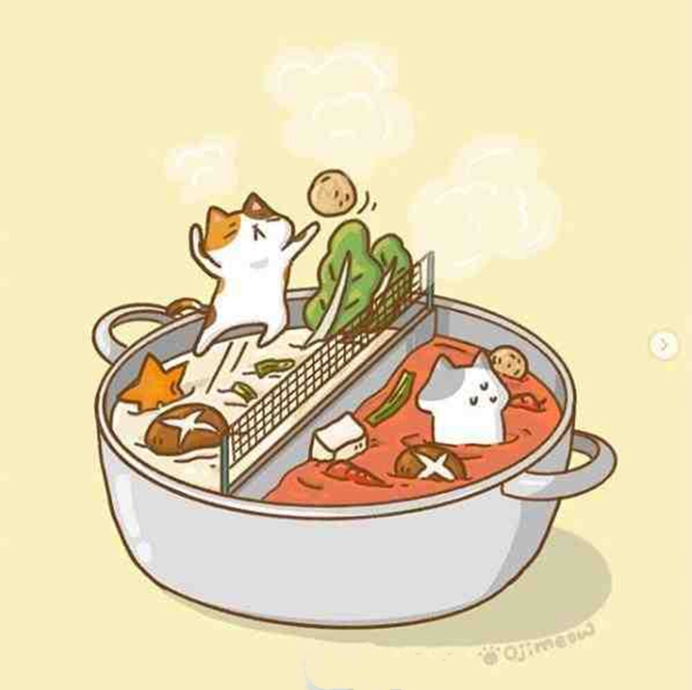 猫咪的美食日常，by oji_meow_nico ​​​