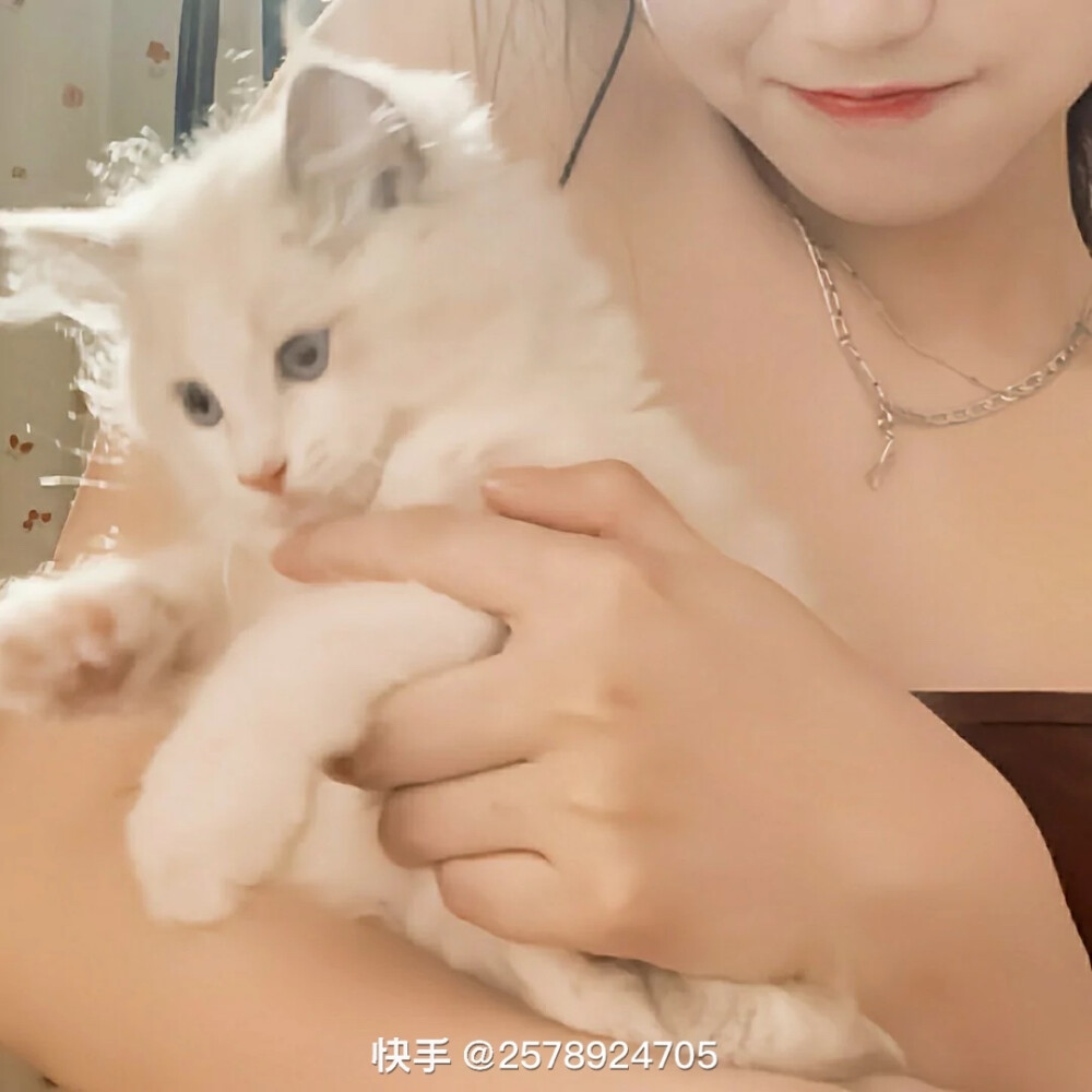 动物情头 猫咪情头 美女情头