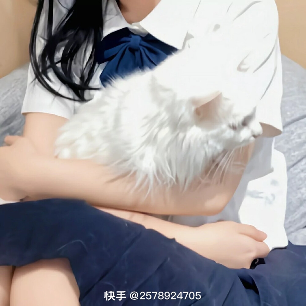 动物情头 猫咪情头 美女情头