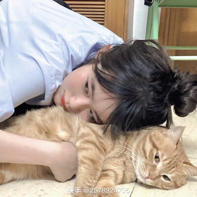 动物情头 猫咪情头 美女情头