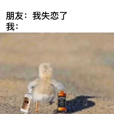 你爱喝酒的朋友