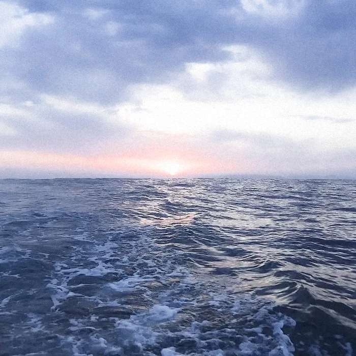 
“将长夜漫漫揉碎了写诗”
