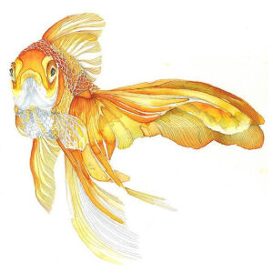 花下游鱼戏， ins：rogojnikova.maria ​​​