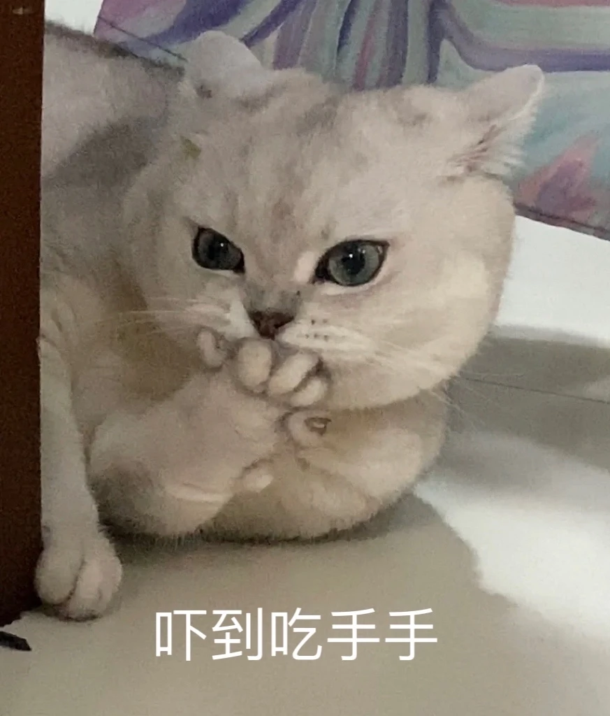 收起 3 评论 10 更多 所有评论 你也来说些什么吧 发布至专辑 表情包