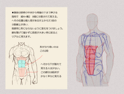 男生女生人体