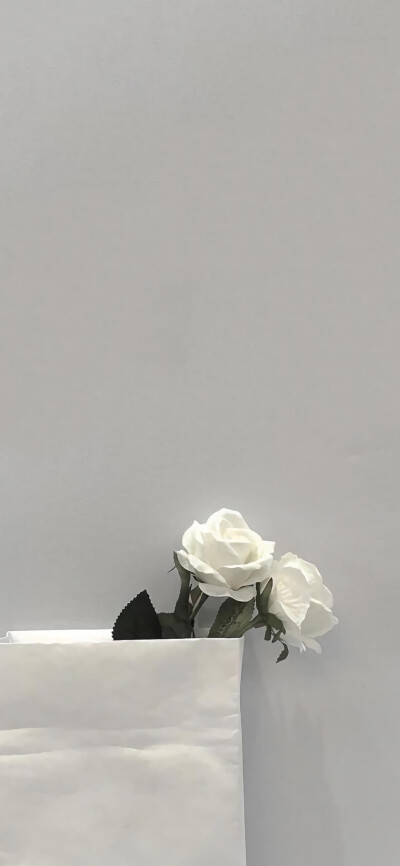 生活总会给你答案 但不会马上告诉你.