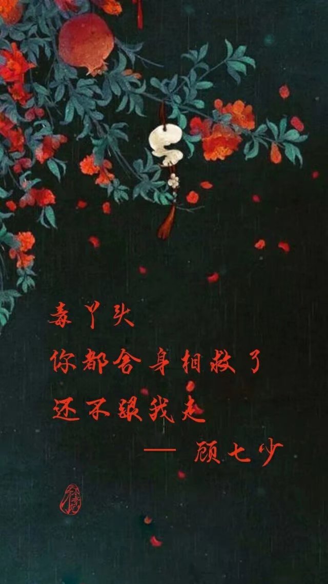 天才小毒妃