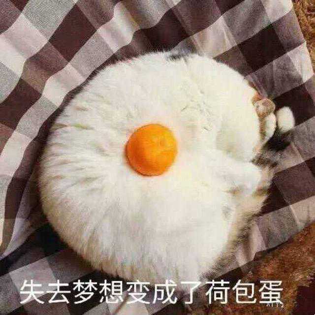 搞怪闺蜜头像
十个橘猫九个胖还有一个特别胖