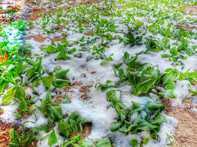 下雪！！