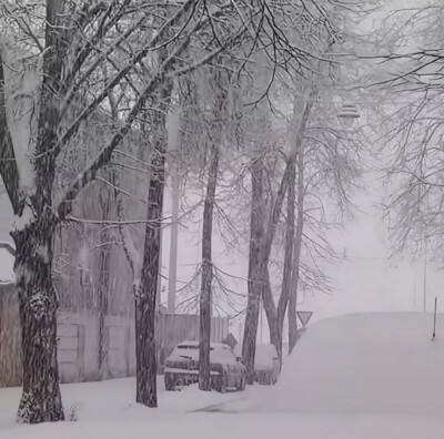 下什么雪 我就是冬