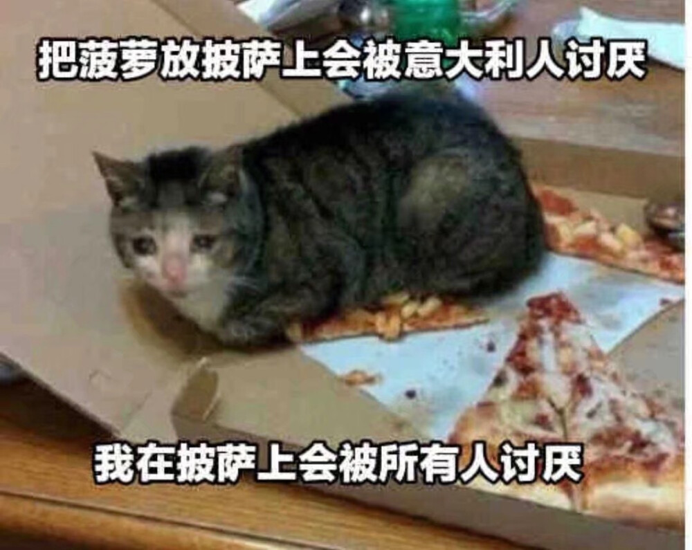 流泪猫猫头表情包