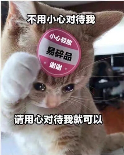 流泪猫猫头表情包