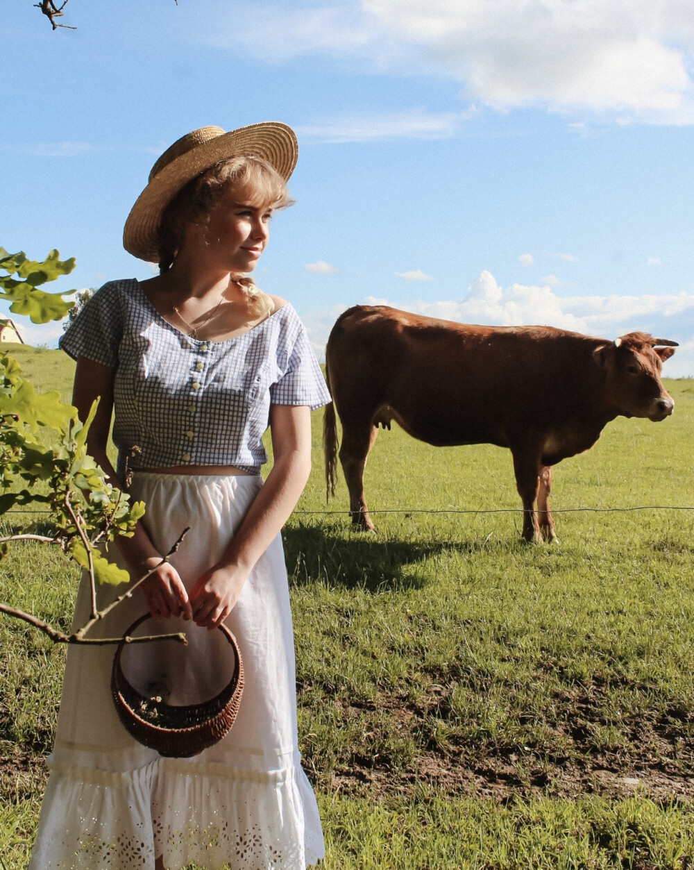 Life in the prairie