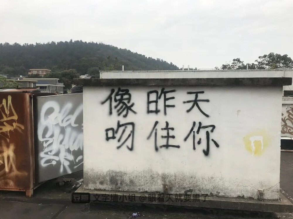 cr豆瓣文字墙