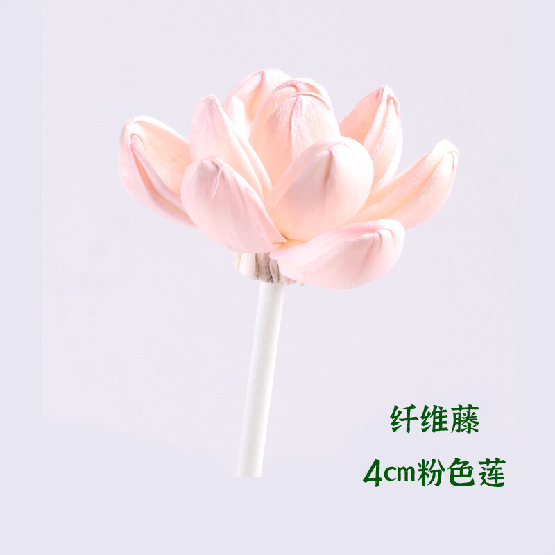 网红花露水香薰棒 纤维藤 通草花香水散香器 扩香花 精油挥发工具