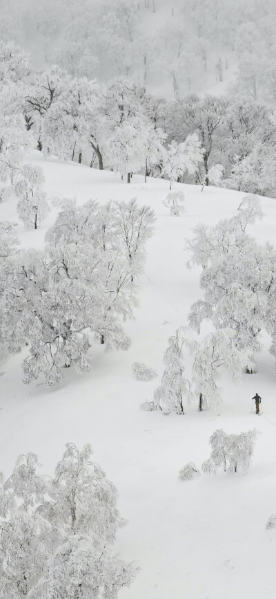 雪天 壁纸