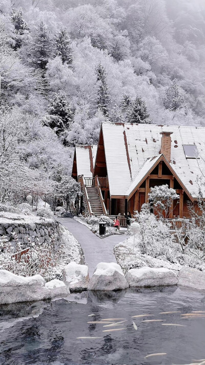 雪天 壁纸