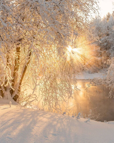  芬兰 冬 雪 晨光 Finland 