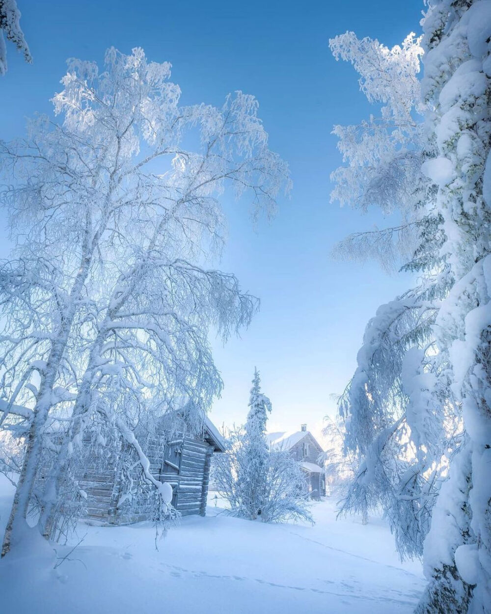  芬兰 冬 雪 晨光 Finland 