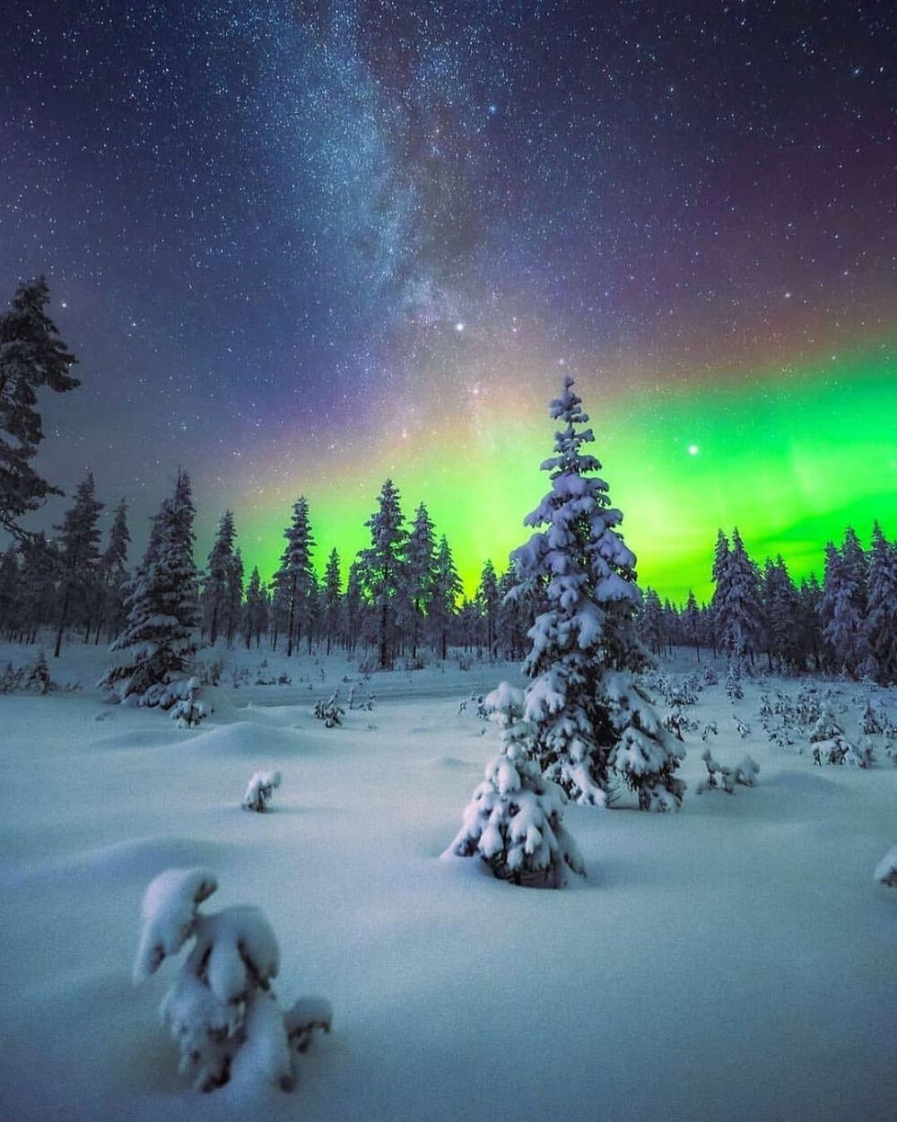 芬兰雪景 唯美图片