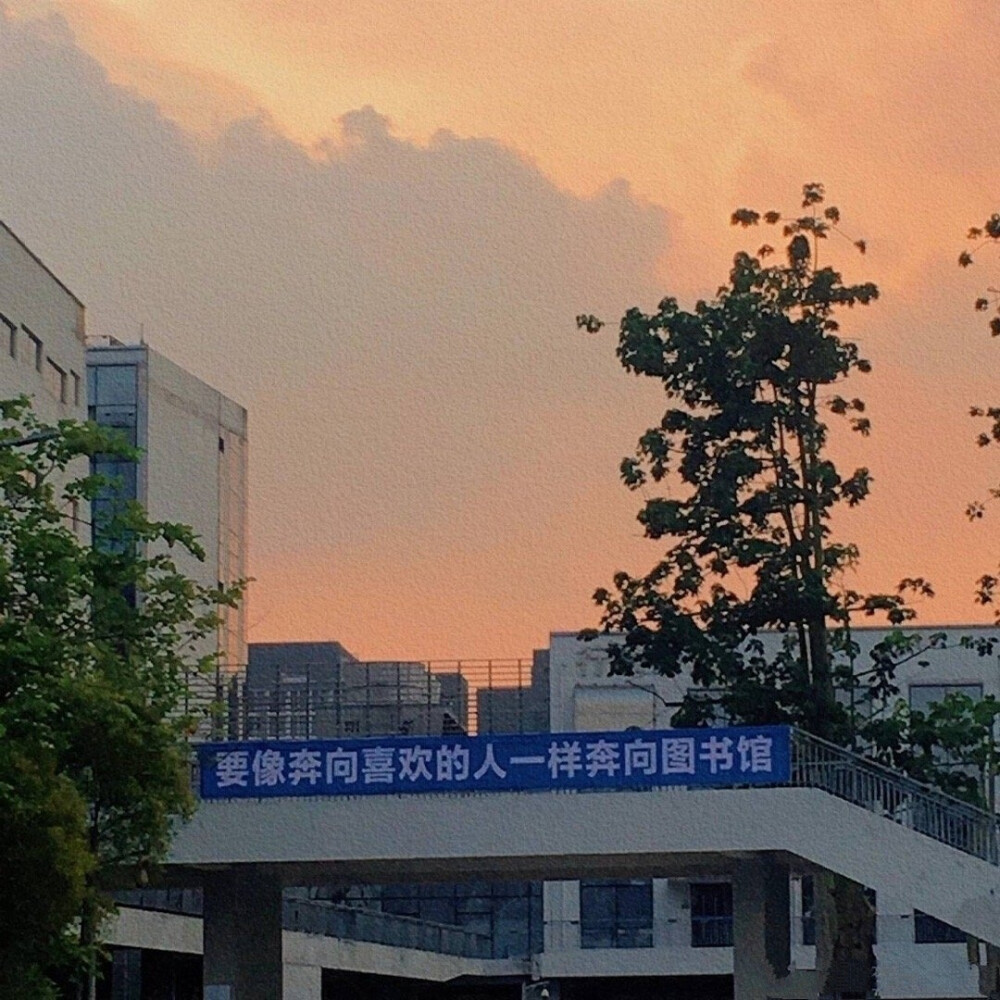 朋友圈背景