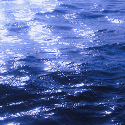 梦中的蓝色海潮
摄影@-HSMEI-
#克莱因蓝##垂直领域点亮计划# ​