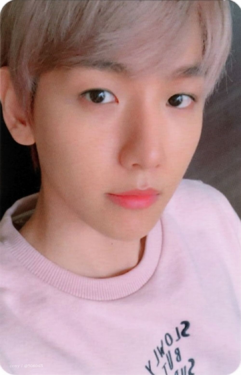 边伯贤小卡扫图