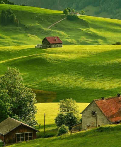 瑞士 Appenzell Switzerland 绿绒毯