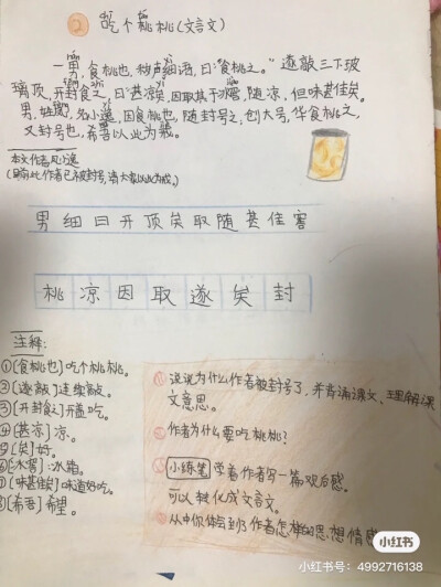 秀儿大全之《语文课本》