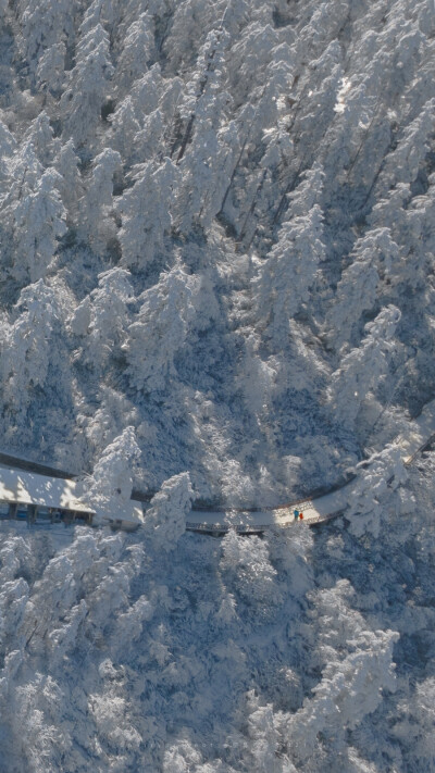 冬日*雪
摄影©空岛与影