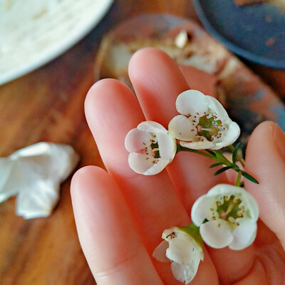 小白花