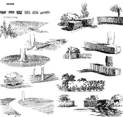 [cp]手绘知识，建筑景观中的植物表现技法参考。