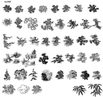 [cp]手绘知识，建筑景观中的植物表现技法参考。