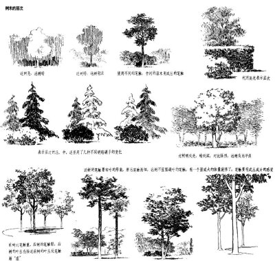 [cp]手绘知识，建筑景观中的植物表现技法参考。