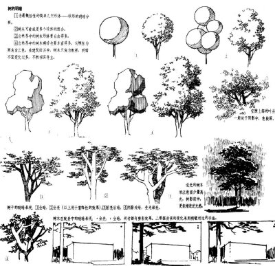 [cp]手绘知识，建筑景观中的植物表现技法参考。