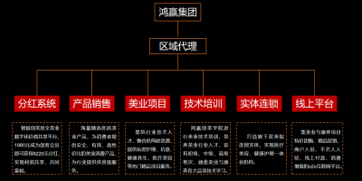 鸿赢集团2022财富峰会会议现场