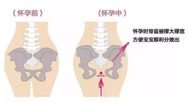 鸿赢集团私密品牌——贞宫夫私密保养