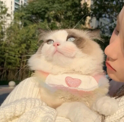 遇见你爱意汹涌 看世间万物都浪漫心动