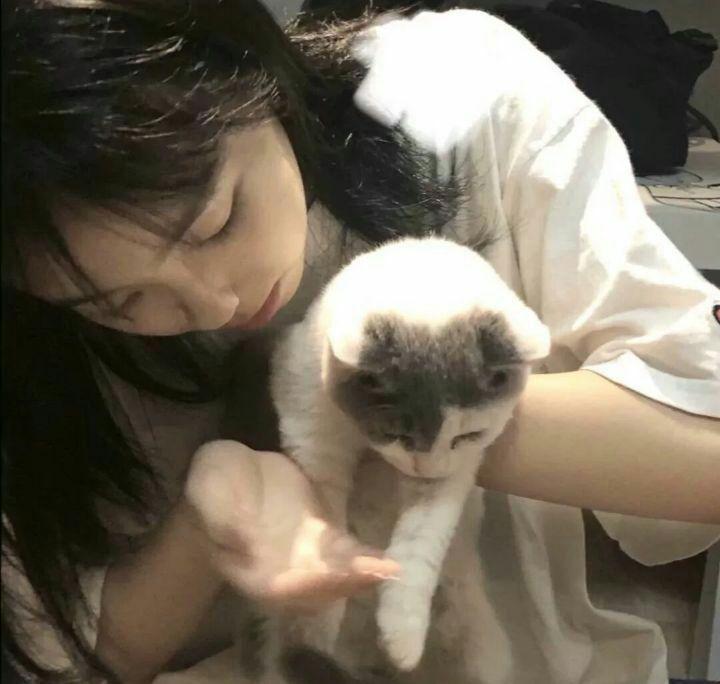 女生抱猫头像可爱☆