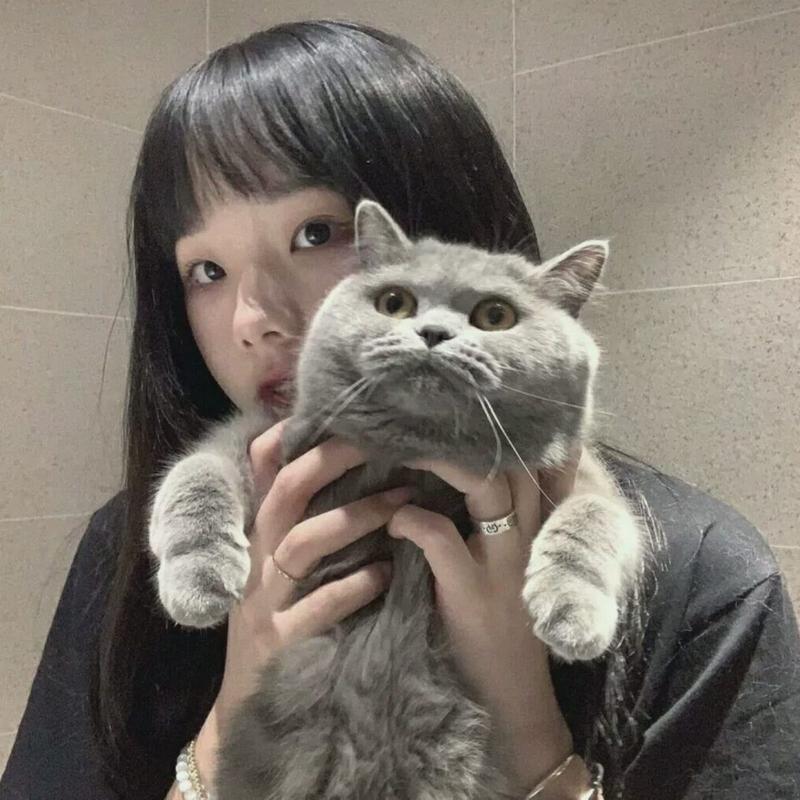 女生抱猫头像可爱☆