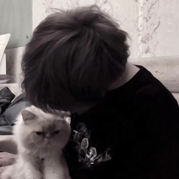 男/女生抱猫情头