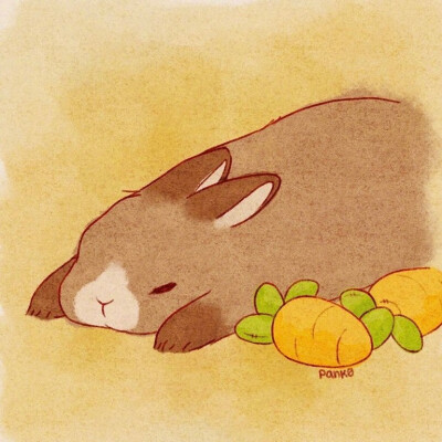 小兔兔