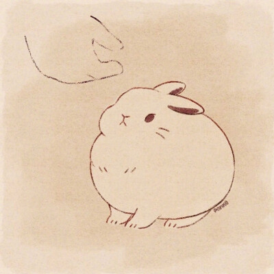 小兔兔