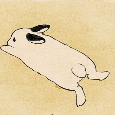 小兔兔