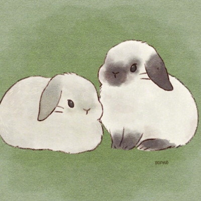 小兔兔