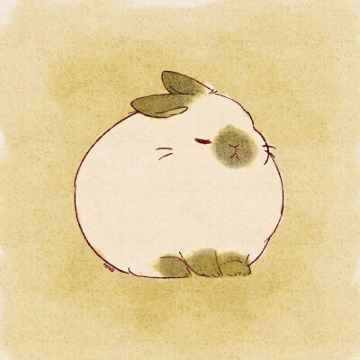 小兔兔