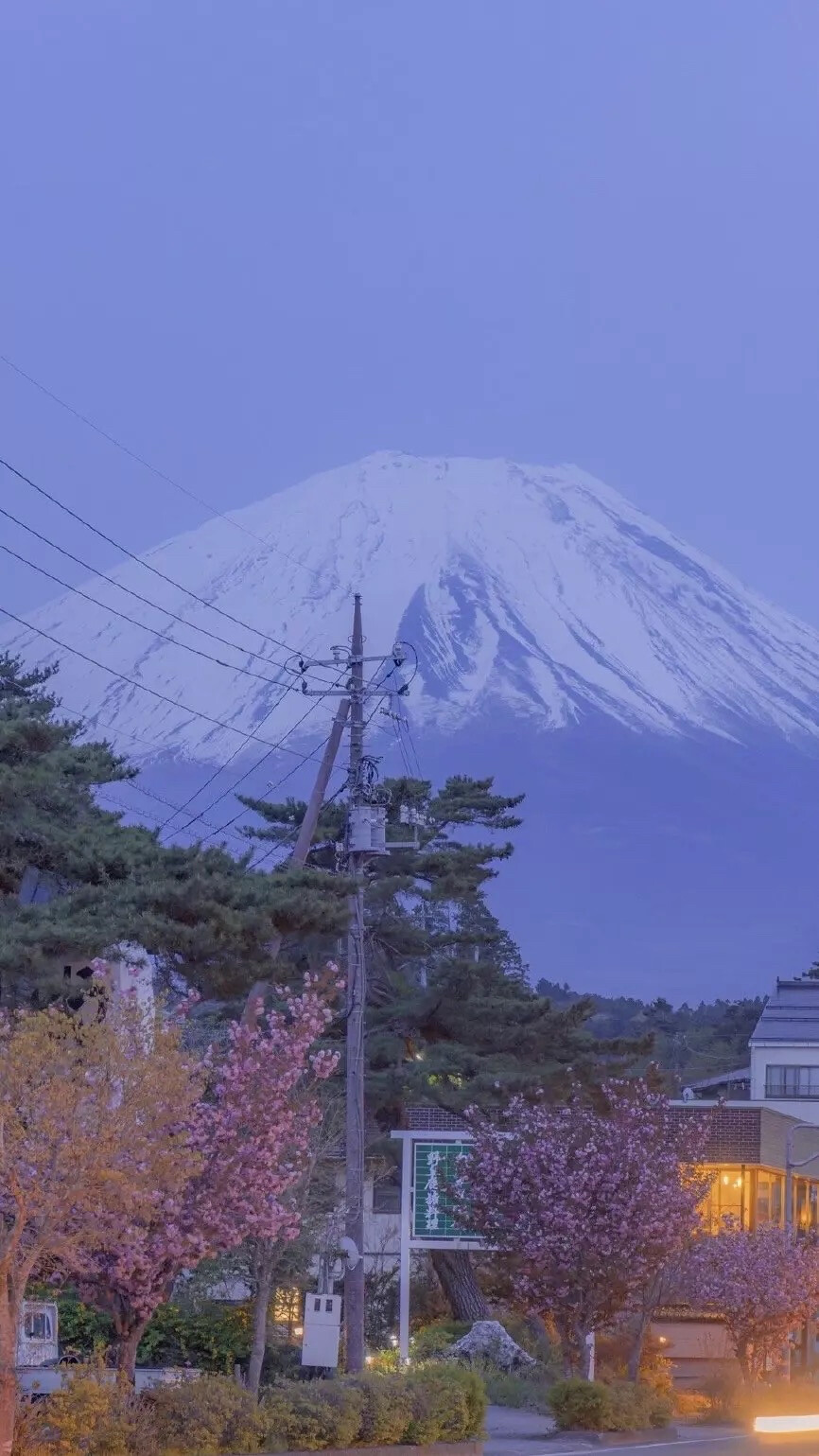 富士山下