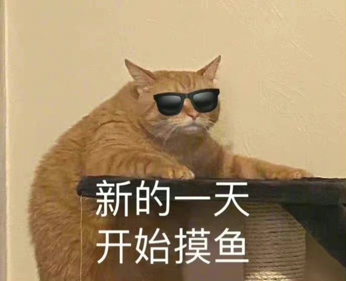 猫猫和狗狗